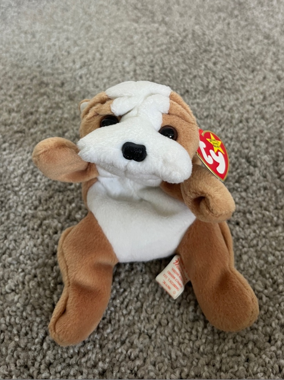 Wrinkles Bulldog Beanie Baby